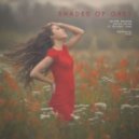 Oliver Heldens & Shaun Frank feat. Delaney Jane - Shades Of Grey (Howmavel & VSNS Remix)