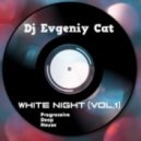 Dj Evgeniy Cat - White night (vol.1)