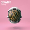 Echocopy - Shine