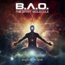 B.A.O. - Evolution (Original mix)