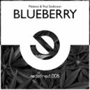 Paul Stefenson & Makensi - Blueberry (Radio Edit)