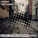 Cicada - Things You Say