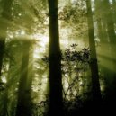 Restricted Sounds - Some Species