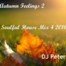 DJ Peter - Autumn Feelings 2 - Soulful House Mix 4