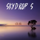 SkyDrop\'S - Fast Train (Original Mix)