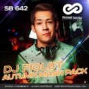 Relanium vs. Bomfunk Mc\'s vs Alex Shik & Mike Prado - Freestyler (DJ FIOLET Mash Up)