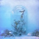 KRNE & B.Lewis - Pcp