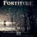 Fortitude - Andromeda Strange (Original Mix)