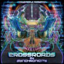 Synchronicity - Drishti
