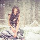 AnimoEx - Penetration of winter (Original mix)