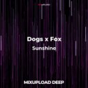Dogs x Fox - Sunshine