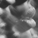 NoiseBass - No Ties (Ivan Seagal Remix)