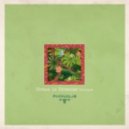 Phonique feat. Antonia Vai - Grass Is Greener (Bruno Be Remix)