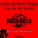 LayZee Ft. Beatrix Delgado - You Are My Destiny (Andrés Casas Disco Remix)
