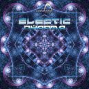 Electic - Dharma (Original Mix)