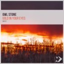 Owl Stone - Tribute to Ayrton Senna