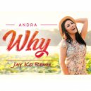 Andra - Why (Jay Ko Remix) [Extended Version]) ((Jay Ko Remix) [Extended Version])