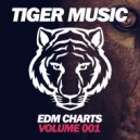 Max Bolotov - Future Mind (Original Mix)