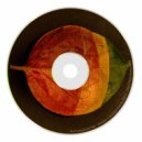 Real Transported Man - Lodestar Feat. Gary Rostock (Original mix)