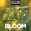 The Paper Kites - Bloom (Denis First Remix)
