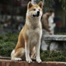 LUCKY4 - После Концерта