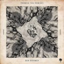 Ben Böhmer - Promise You