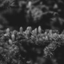 Vassh - Did Me Wrong...