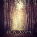 Insomnia - New Dawn