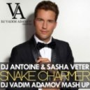 DJ Antoine &PSasha Veter - Snake Charmer