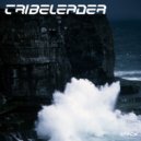 Tribeleader - Unity (Original Mix)
