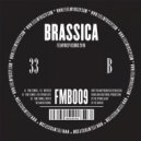 Brassica - Time Tunnel