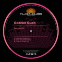 Gabriel Gush & Valerio Turchetti - Feel Night (Original mix)