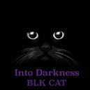 Blk Cat - If I Want To (Original mix)