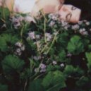 Blure - Between Flowers And Sleeping Words (Original mix)
