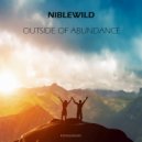 Niblewild - Outside of Abundance (Radio Edit)
