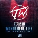 Eternuit feat. Matt Hoben - Wonderful Life