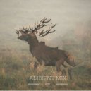 Nrtk - Ambient Mix