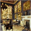 Gold Casio - Socialites And Singer Types