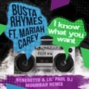Busta Rhymes ft. Mariah Carey - I Know What You Want (Benedetto & Lild Paul Dj Moombahton Remix)