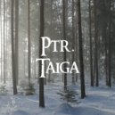 Ptr. - Taiga (Original mix)