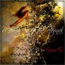 AnimoEx - Memories of the eternal