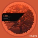 X-Ray - Orbital (Original Mix)