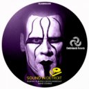 Bob Ray - Sound in Detroit (David Coianiz Remix)
