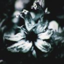 Insomnia - Mindless (Original mix)