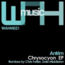 Antrim - Thoughts of Flight (Dale Middleton Remix)