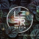 Artem Leer - Shaman (Original Mix)