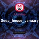DJ_FxOne - Deep_house_January ()
