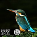 Slava Mayer - Bird`s (Original Mix)