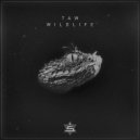 Taw - Wildlife