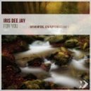 Iris Dee Jay Feat. Maria Opale - For You (Ilya Fly Remix)
